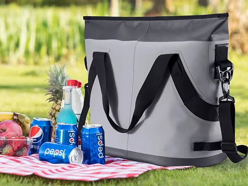 Die Rolle von Eisbeuteln beim Camping