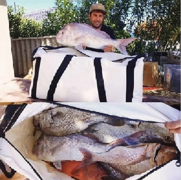 Beleidigte Fischkühltasche Beleidigte Fischkühltasche
